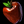 Apple.png