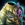 Blossoming Mist Shard Plate.png