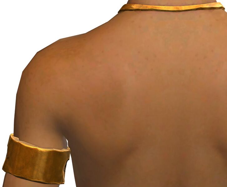 File:Breezy Swim Top male back.jpg