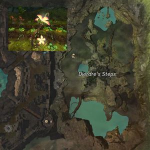 Dierdre's Orchard map.jpg