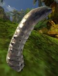 Larva Tail (Brisban Wildlands).jpg