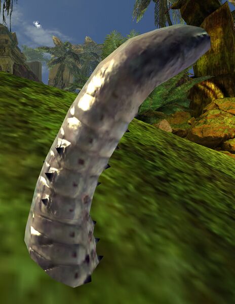 File:Larva Tail (Brisban Wildlands).jpg