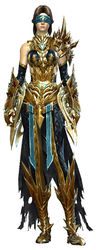 Mistward armor human female front.jpg