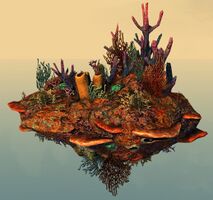 Underwater Coral Formation.jpg