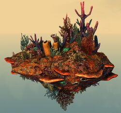 Underwater Coral Formation.jpg