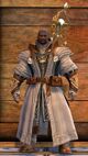 Astral Ward Mage norn male 3.jpg