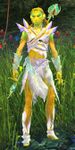 Crystal Bloom Weaver male 1.jpg