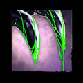 Thumbnail for version as of 02:37, 2 May 2012