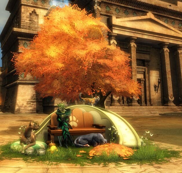 File:Dog Bench Chair sylvari female.jpg