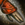 Glorious Armguards.png