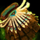 Olmakhan Support Mark.png