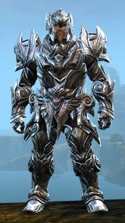 Perfected Envoy armor (heavy) norn male front.jpg