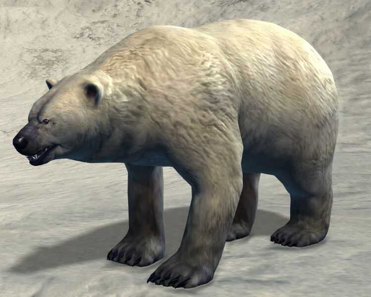 File:Polar Bear.jpg