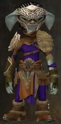 Rift Hunter armor asura male front.jpg
