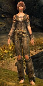 Wild-Eye Miller 2.jpg