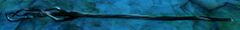 Ancient Staff.jpg