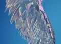 Aurene statue 04.jpg