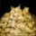 Ball of Cookie Dough.png