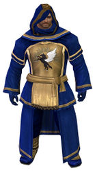 Guild Archmage armor norn male front.jpg
