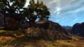 Thumbnail for version as of 16:15, 17 April 2022