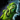 Jungle Wurm Egg.png
