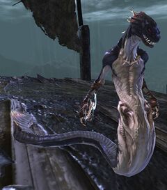 Krait Priestess.jpg