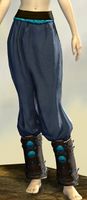 Medium Corsair Leggings.jpg