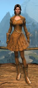 Appearance on light armor.