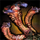 Hydra Staff.png