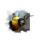 Juvenile Janthiri Bee.png