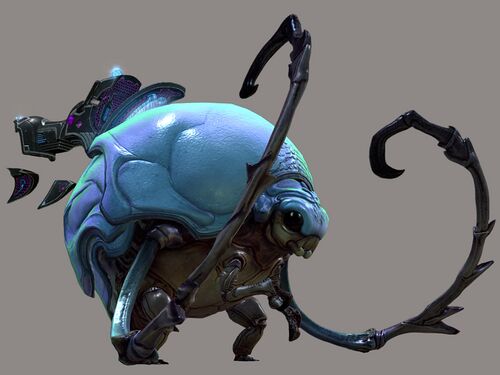 Roller Beetle (mount skin).jpg