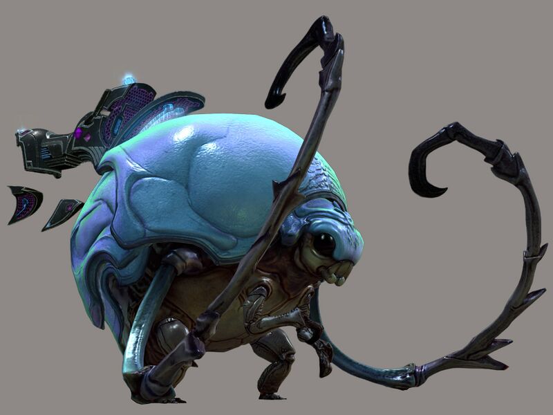 File:Roller Beetle (mount skin).jpg