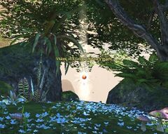 Shipwreck Strand Insight- Riddled Cove.jpg