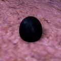 Thumbnail for version as of 20:27, 17 May 2022