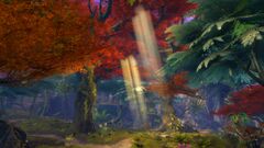 The Deepwood.jpg