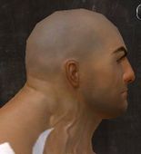 Unique norn male face side 9.jpg