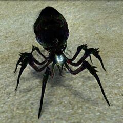 Void Rotspinner.jpg