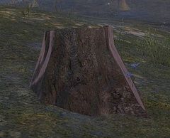 Aromatic Stump.jpg