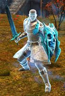 Ascalonian Fighter.jpg