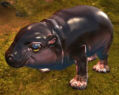 Baby Siamoth.jpg