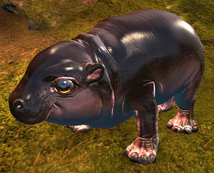 File:Baby Siamoth.jpg