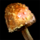 Golden Mushroom (item).png