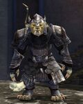 Legendary Defender (charr female).jpg