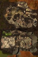Maguuma Wastes map.jpg