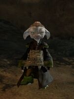 Pirate asura male 1.jpg