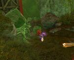 Playing with the Infants5-location.jpg