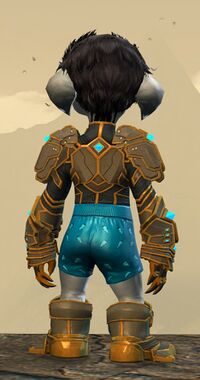 Back view