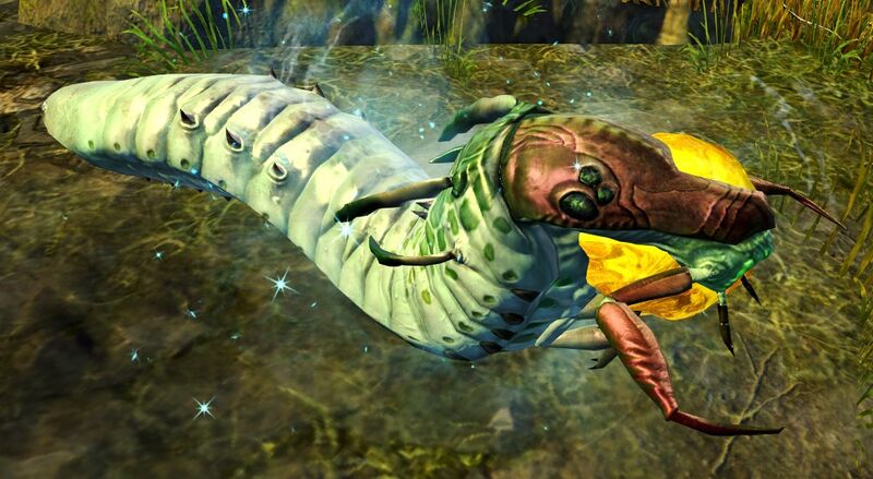 File:Sap-Carrying Grub.jpg