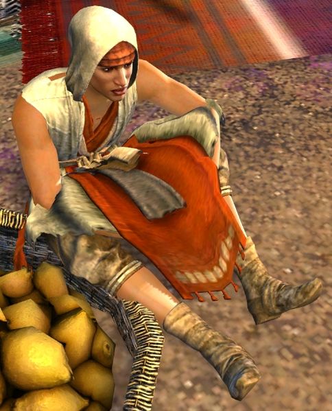File:Seeker Cihan.jpg