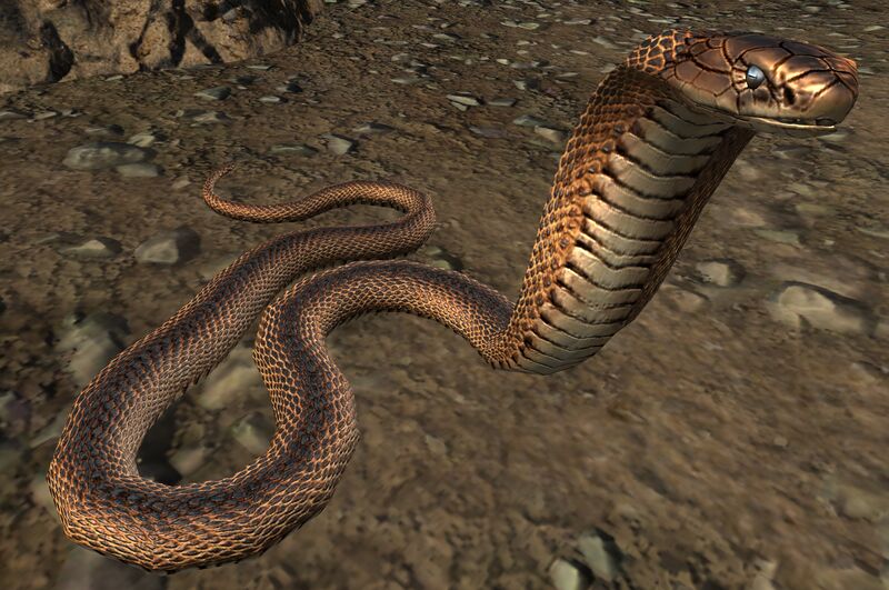File:Snake (Tideland Outlet).jpg